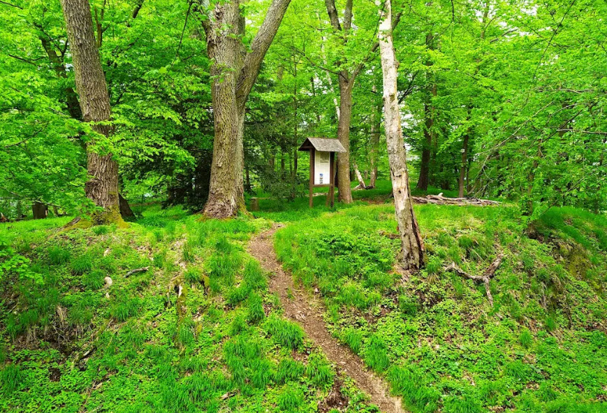 Třebovské Hradisko, Czech Republic (Czechia)